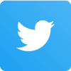 Twitter - Icon